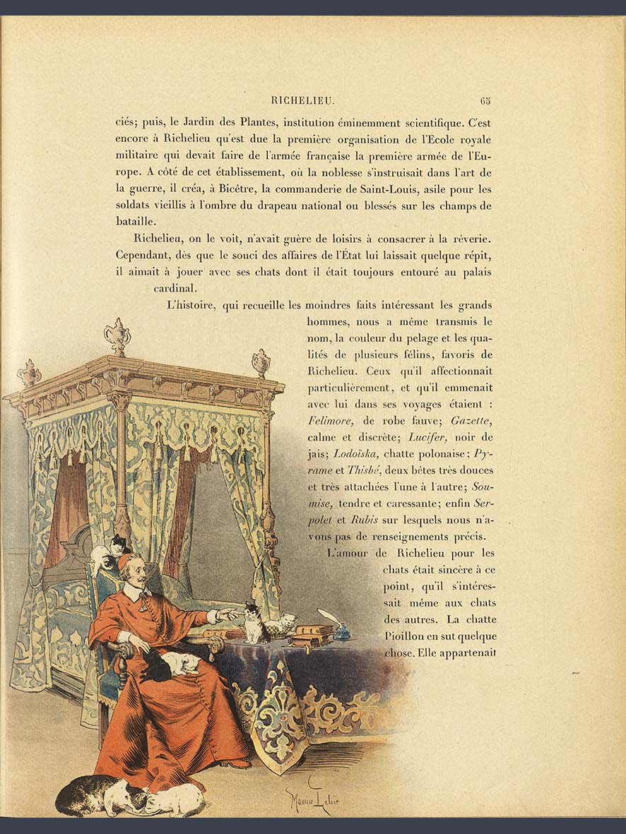 scan_2023_17-32-06-29-48 копия